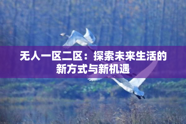 无人一区二区：探索未来生活的新方式与新机遇