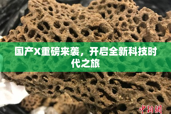 国产X重磅来袭，开启全新科技时代之旅