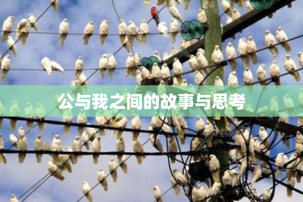 公与我之间的故事与思考