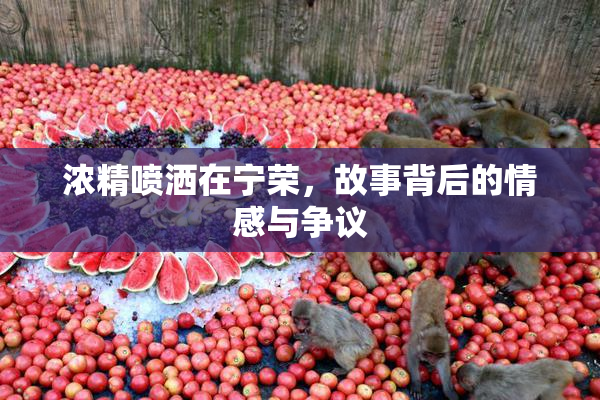 浓精喷洒在宁荣，故事背后的情感与争议