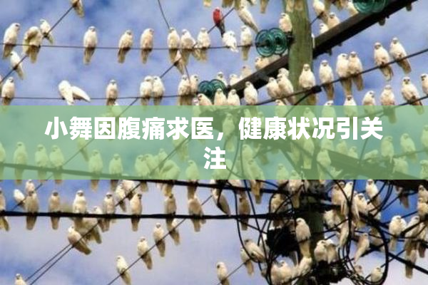 小舞因腹痛求医，健康状况引关注