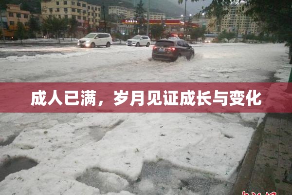 成人已满，岁月见证成长与变化