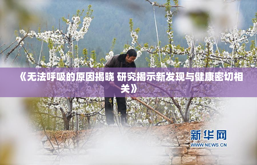 《无法呼吸的原因揭晓 研究揭示新发现与健康密切相关》