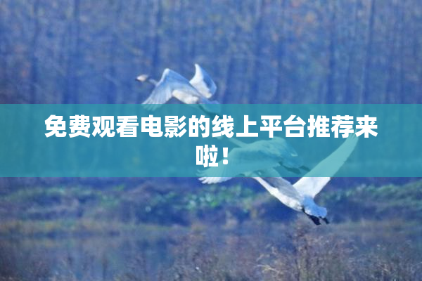 免费观看电影的线上平台推荐来啦！