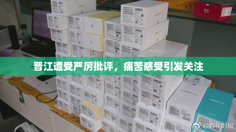 晋江遭受严厉批评，痛苦感受引发关注