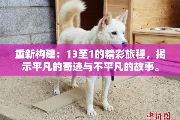 重新构建：13至1的精彩旅程，揭示平凡的奇迹与不平凡的故事。
