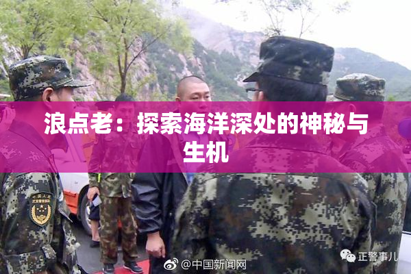 浪点老：探索海洋深处的神秘与生机