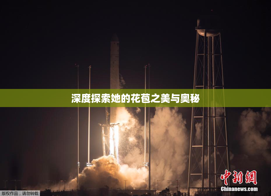 深度探索她的花苞之美与奥秘