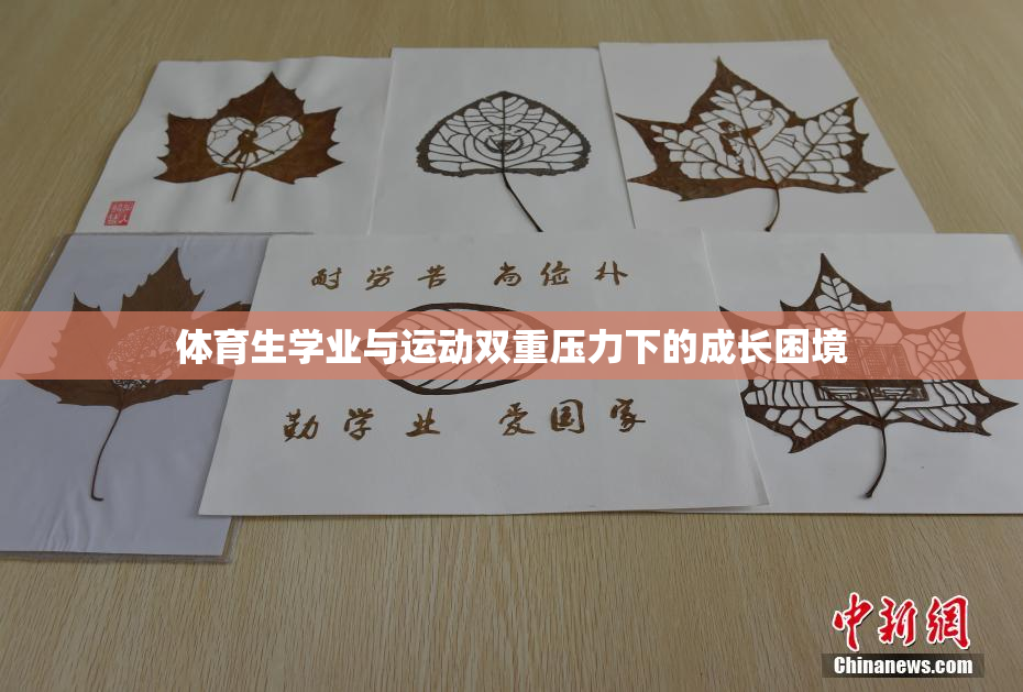 体育生学业与运动双重压力下的成长困境