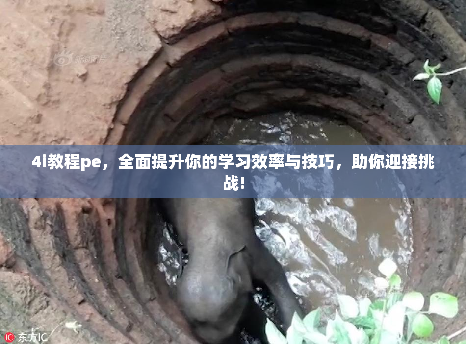 4i教程pe，全面提升你的学习效率与技巧，助你迎接挑战!
