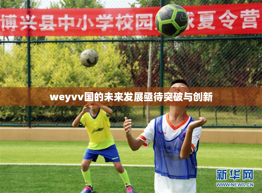 weyvv国的未来发展亟待突破与创新