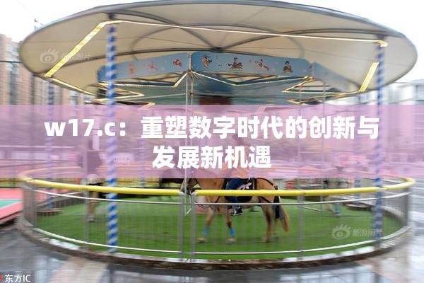 w17.c：重塑数字时代的创新与发展新机遇