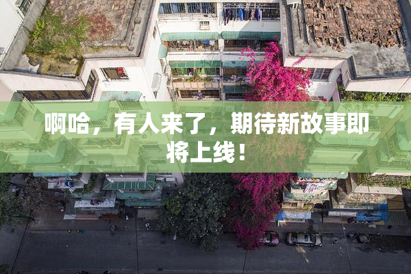 啊哈，有人来了，期待新故事即将上线！