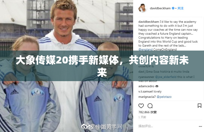 大象传媒20携手新媒体，共创内容新未来