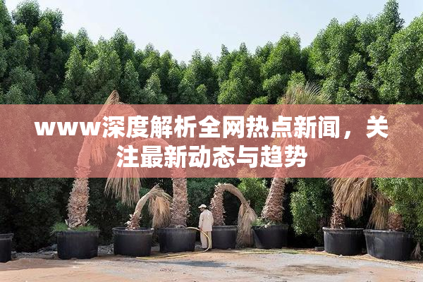 www深度解析全网热点新闻，关注最新动态与趋势