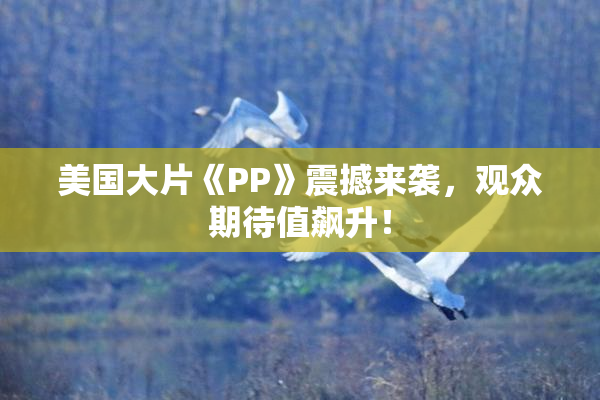 美国大片《PP》震撼来袭，观众期待值飙升！