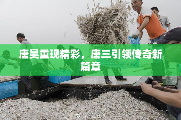 唐昊重现精彩，唐三引领传奇新篇章