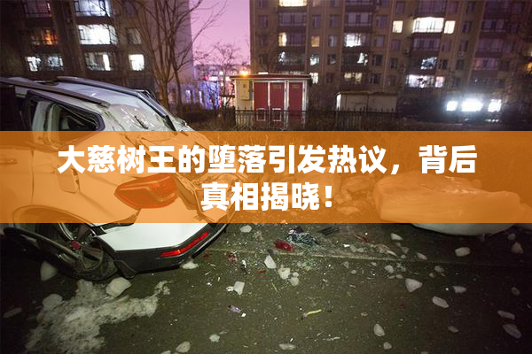 大慈树王的堕落引发热议，背后真相揭晓！
