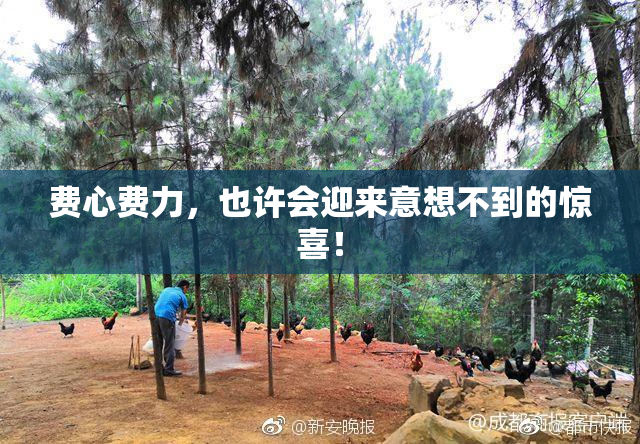 费心费力，也许会迎来意想不到的惊喜！