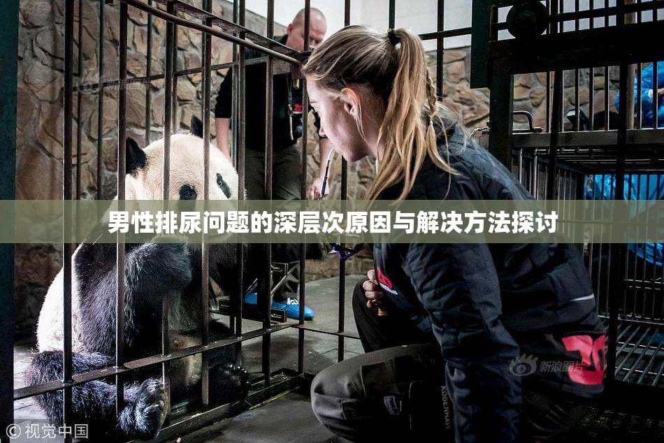 男性排尿问题的深层次原因与解决方法探讨