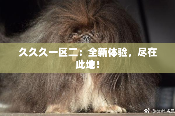 久久久一区二：全新体验，尽在此地！