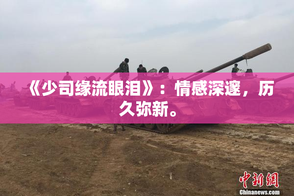 《少司缘流眼泪》：情感深邃，历久弥新。