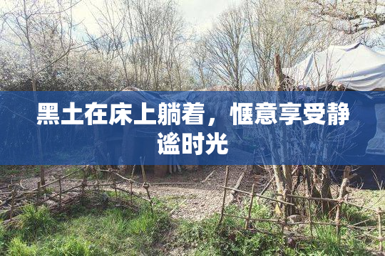 黑土在床上躺着，惬意享受静谧时光