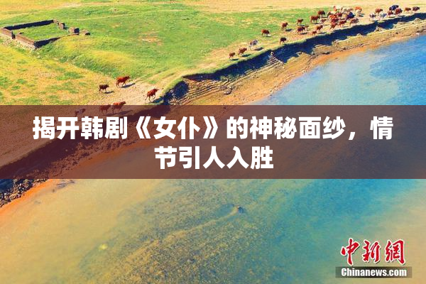 揭开韩剧《女仆》的神秘面纱，情节引人入胜
