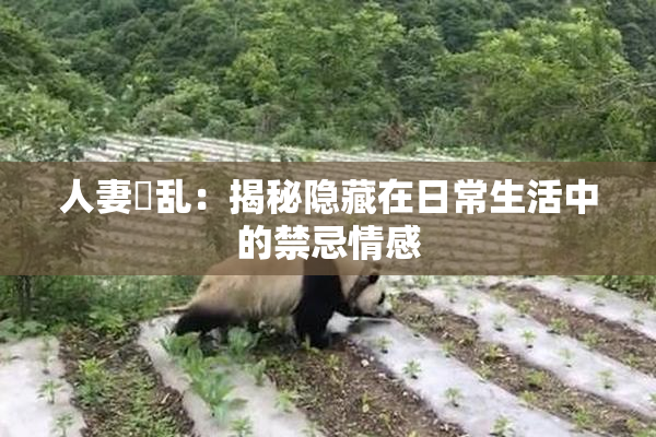 人妻婬乱：揭秘隐藏在日常生活中的禁忌情感