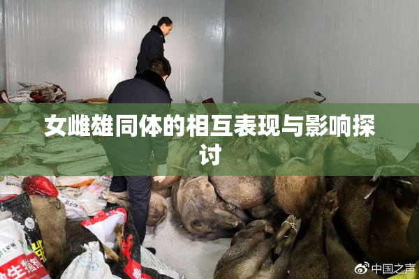 女雌雄同体的相互表现与影响探讨
