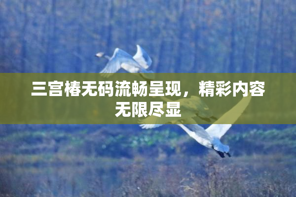 三宫椿无码流畅呈现，精彩内容无限尽显