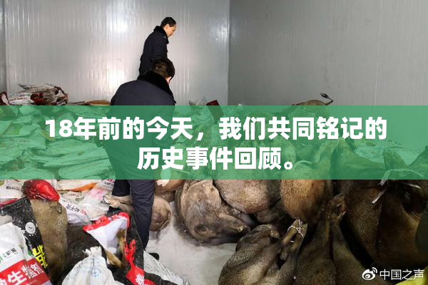 18年前的今天，我们共同铭记的历史事件回顾。