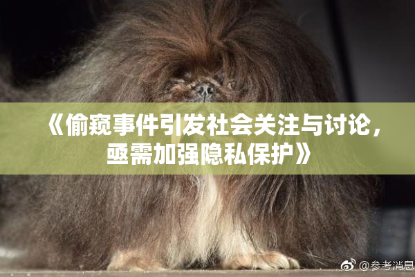《偷窥事件引发社会关注与讨论，亟需加强隐私保护》
