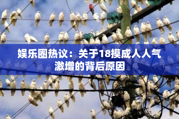 娱乐圈热议：关于18摸成人人气激增的背后原因