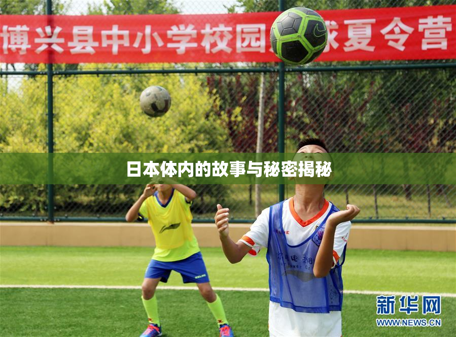 日本体内的故事与秘密揭秘