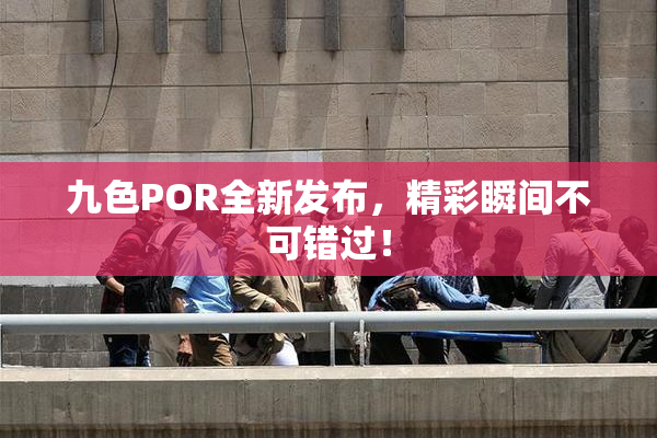 九色POR全新发布，精彩瞬间不可错过！