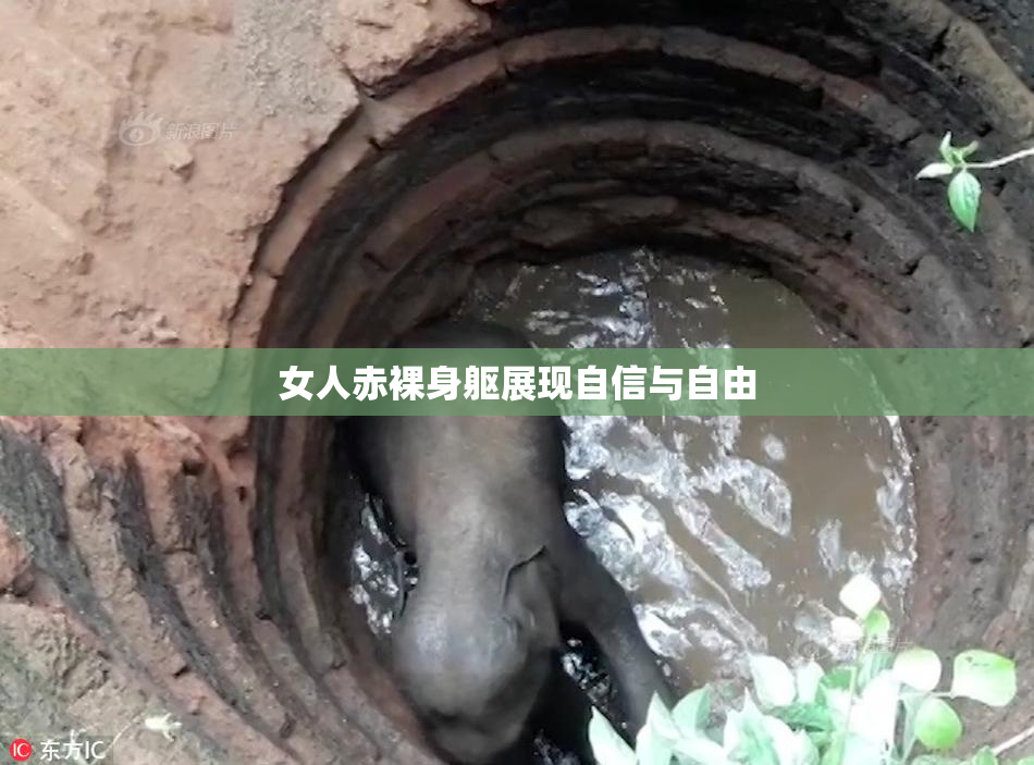 女人赤裸身躯展现自信与自由