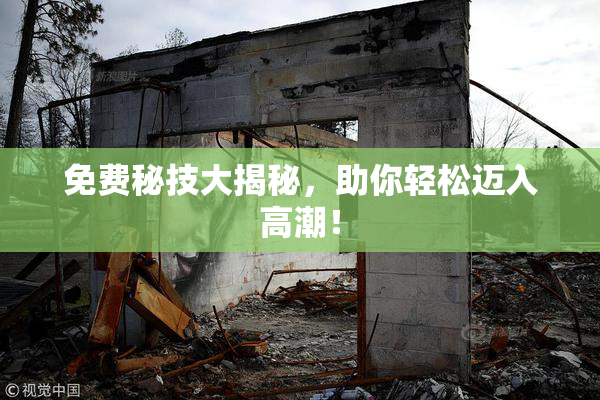 免费秘技大揭秘，助你轻松迈入高潮！