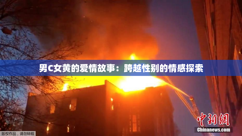 男C女黄的爱情故事：跨越性别的情感探索