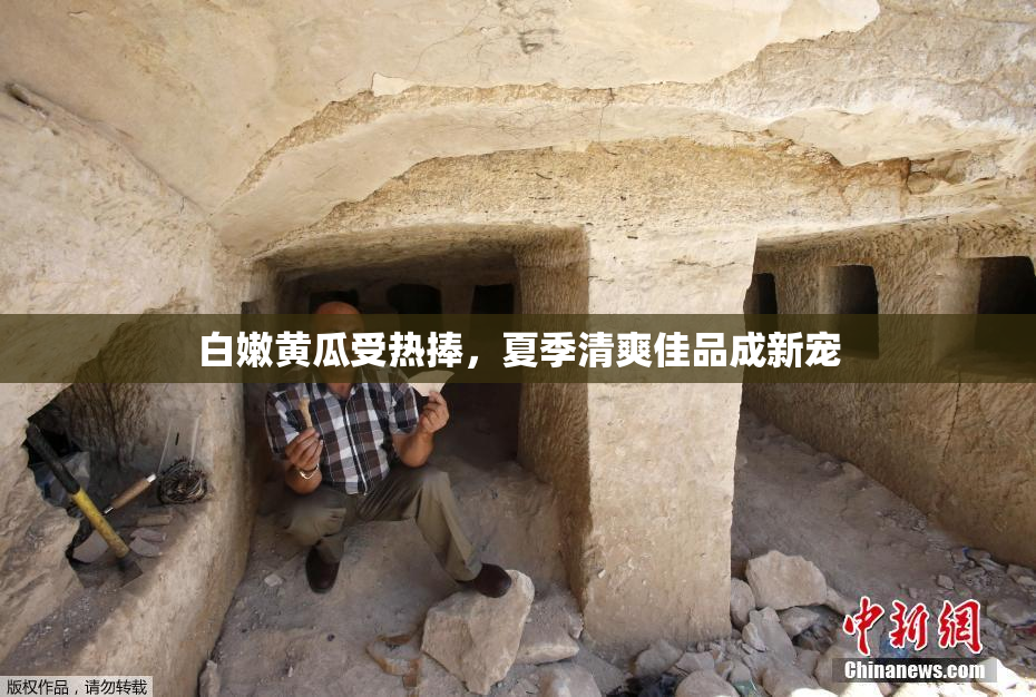 白嫩黄瓜受热捧，夏季清爽佳品成新宠