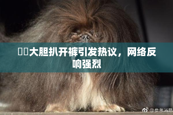 妺妺大胆扒开裤引发热议，网络反响强烈