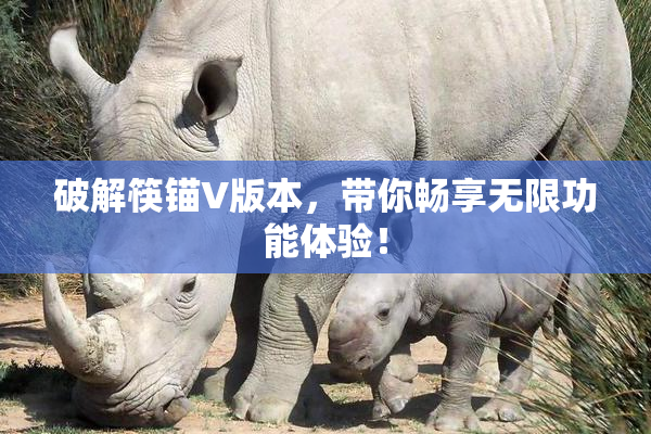 破解筷锚V版本，带你畅享无限功能体验！