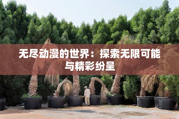 无尽动漫的世界：探索无限可能与精彩纷呈