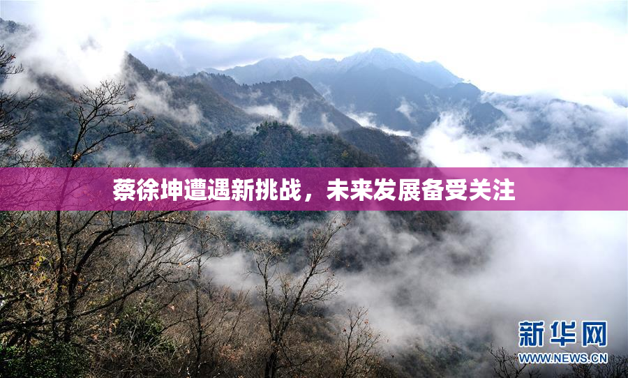 蔡徐坤遭遇新挑战，未来发展备受关注