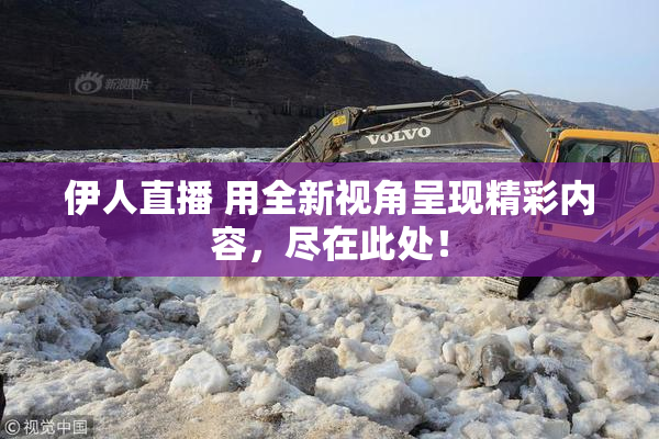 伊人直播 用全新视角呈现精彩内容，尽在此处！