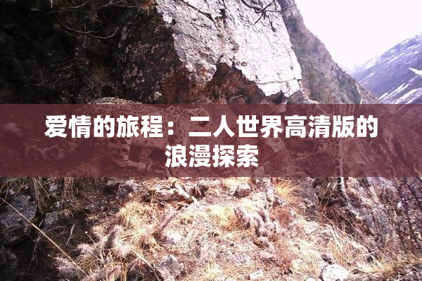 爱情的旅程：二人世界高清版的浪漫探索
