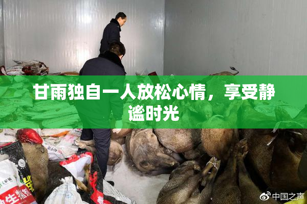 甘雨独自一人放松心情，享受静谧时光