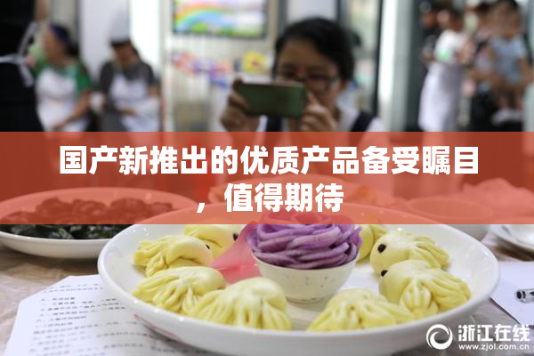 国产新推出的优质产品备受瞩目，值得期待
