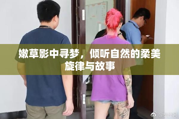 嫩草影中寻梦，倾听自然的柔美旋律与故事