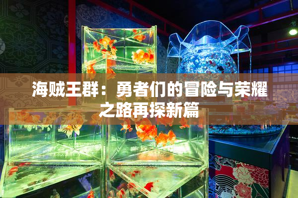 海贼王群：勇者们的冒险与荣耀之路再探新篇